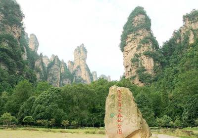 走湘西——張家界、鳳凰古城游記(一)