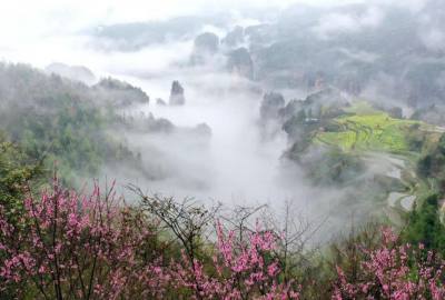 候鳥的選擇，彰顯湖南生態(tài)系統(tǒng)持續(xù)優(yōu)化